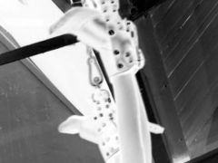 Analfick im Catsuit (0)